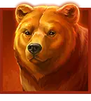 Bear symbol