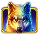 Wild symbol